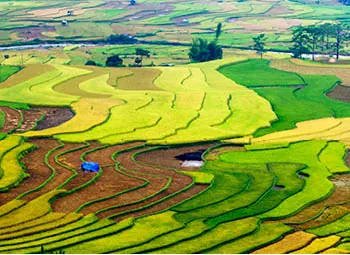 Dazzling Bali